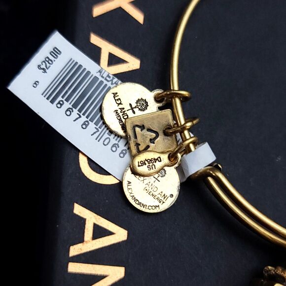 Alex And Ani Gift Box Charm Bracelet - Picture 5 of 7
